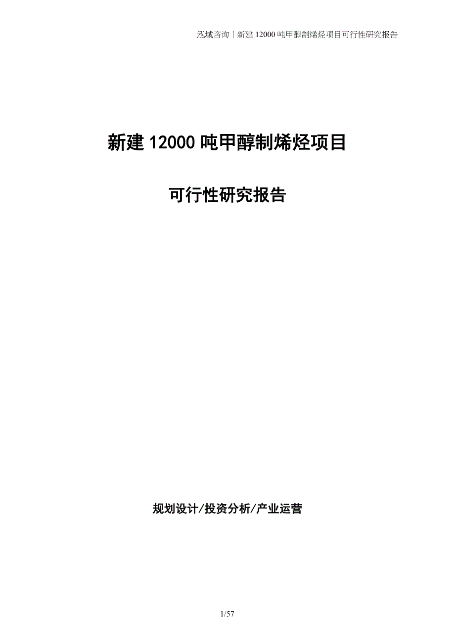 新建12000吨甲醇制烯烃项目可行性研究报告_第1页