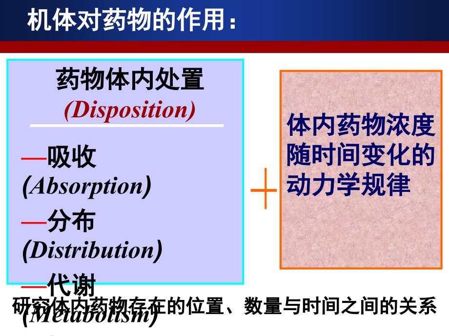 临床药物代谢动力学：绪论_第4页