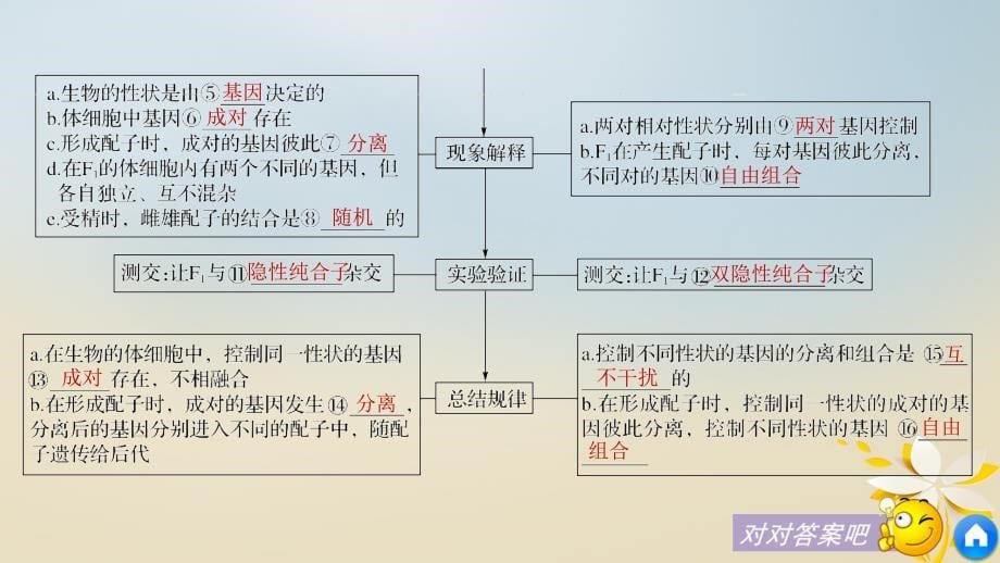 高中生物 第一章 孟德尔定律章末整合提升课件 浙科版必修_第5页