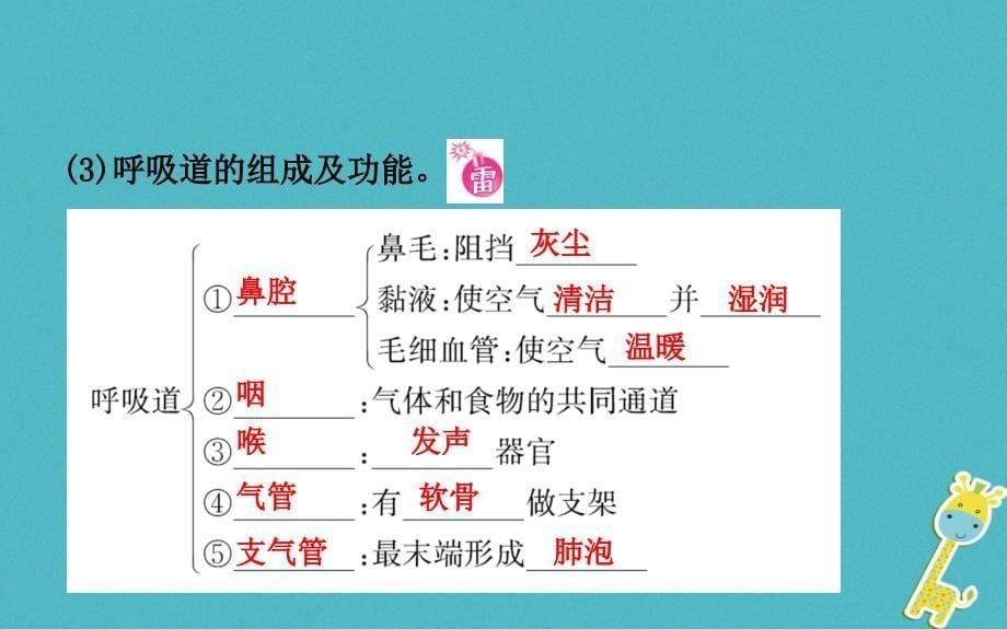 中考生物 第三单元 生物圈中的人 第二章 人的生活需要空气课件_第5页