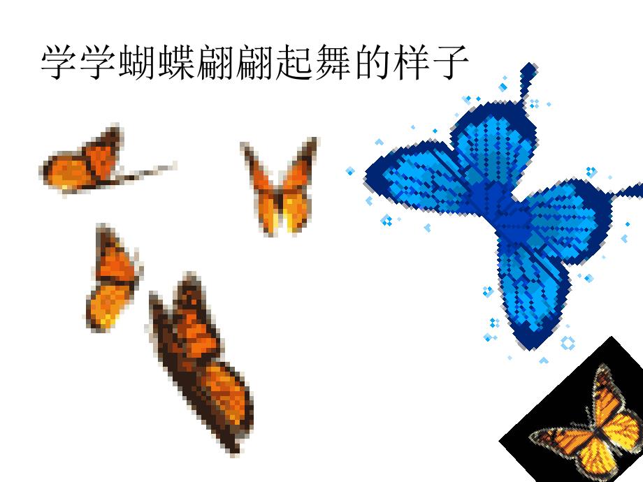 大班科学课件(ppt)：美丽的蝴蝶_第2页