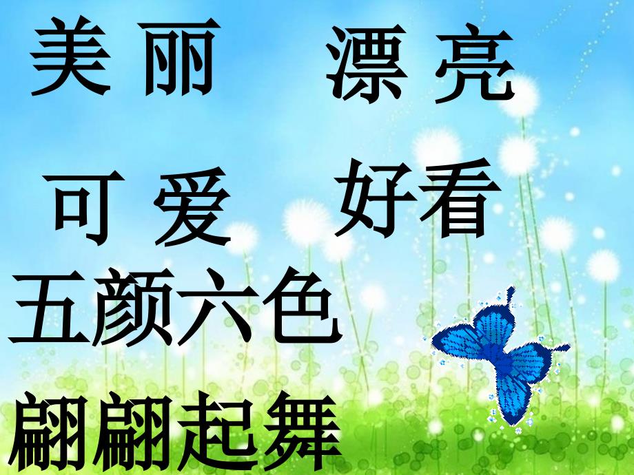 大班科学课件(ppt)：美丽的蝴蝶_第3页