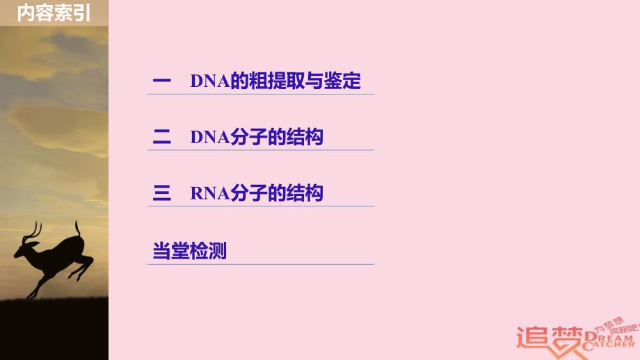 高中生物第2章遗传信息传递的结构基础第6课时dna贮存遗传信息(ⅱ)课件北师大版必修2_第3页