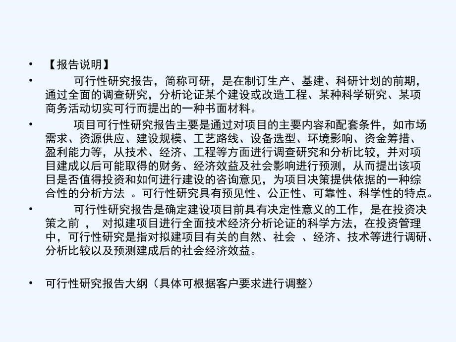 有色金属冶炼项目可行性研究报1_第5页