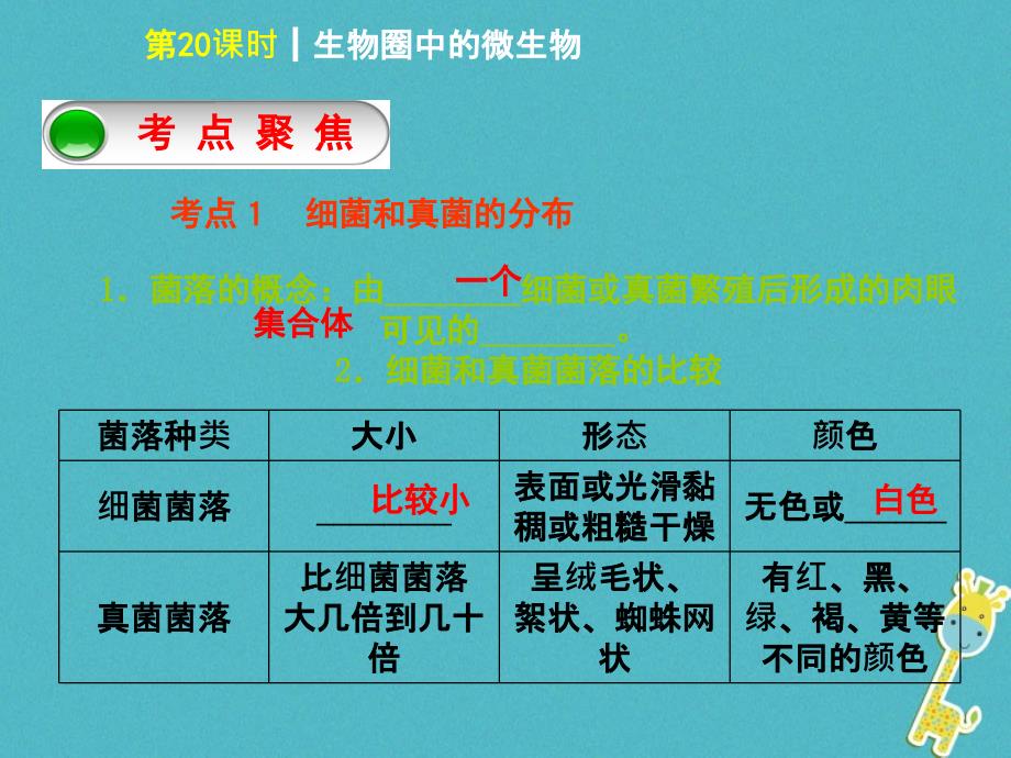 中考生物 第五单元 生物圈中的其他生物 第20课时 生物圈中的微生物课件_第2页