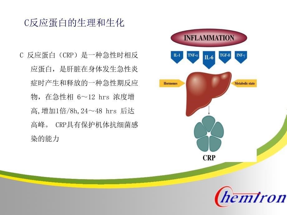 CRP解析-以与临床意义_第5页