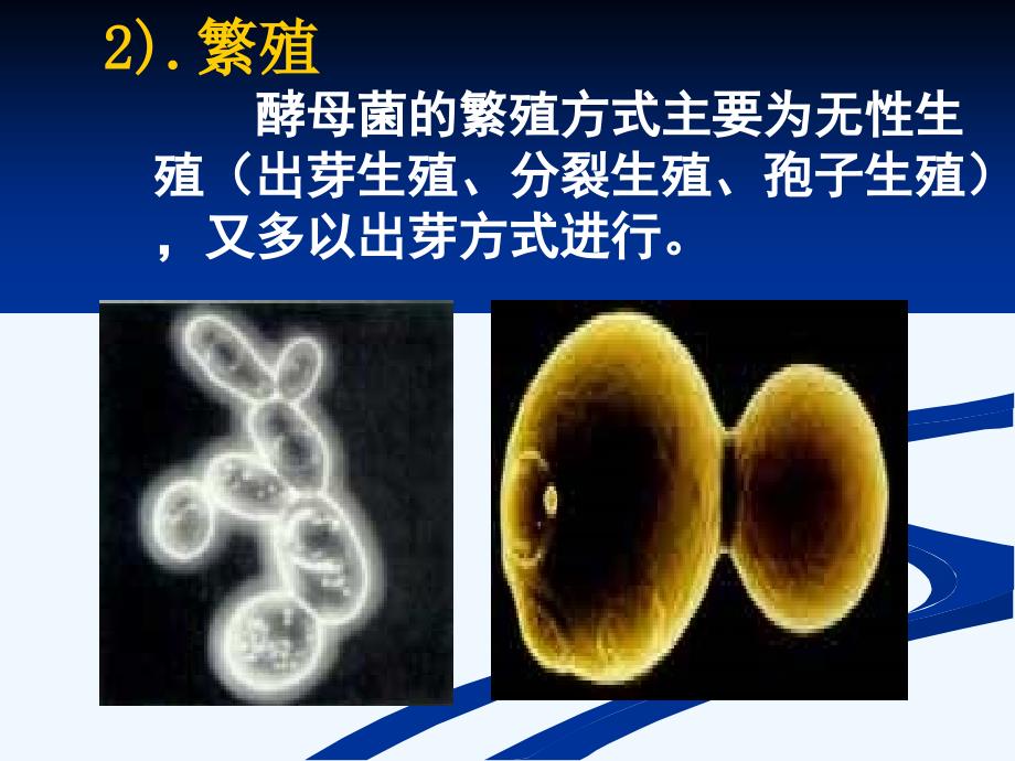 果酒果醋的制作方法_第4页