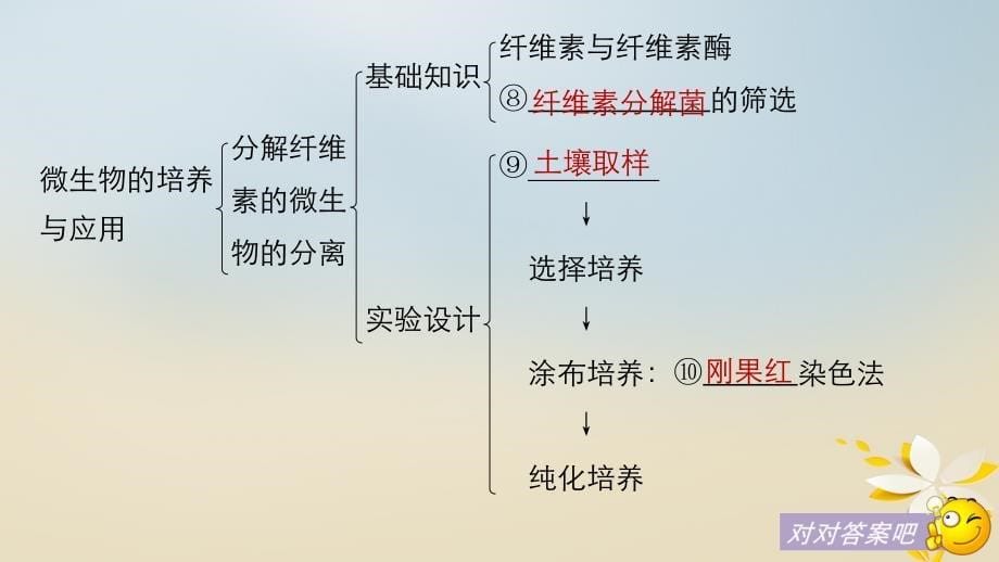 高中生物专题2微生物的培养与应用专题整合提升同步备课课件新人教版选修1_第5页