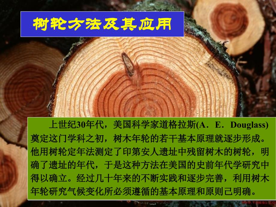 树轮方法及其应用_第1页
