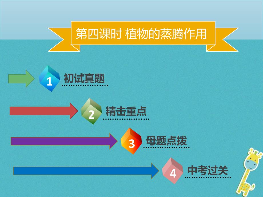 中考生物 模块三 生物圈中的绿色植物 第四课时 植物的蒸腾作用课件_第2页