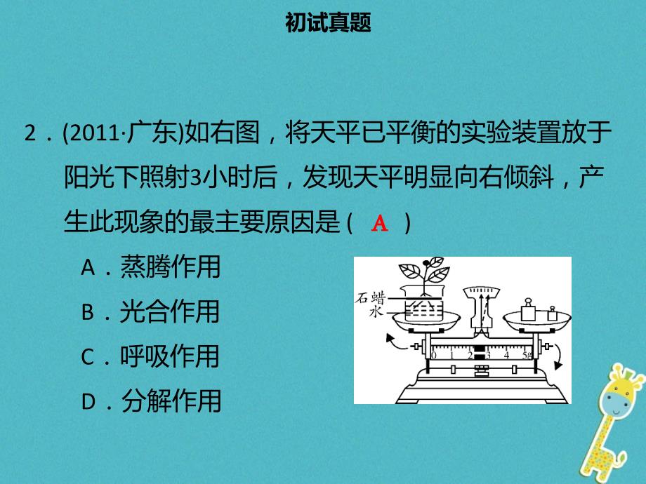 中考生物 模块三 生物圈中的绿色植物 第四课时 植物的蒸腾作用课件_第4页