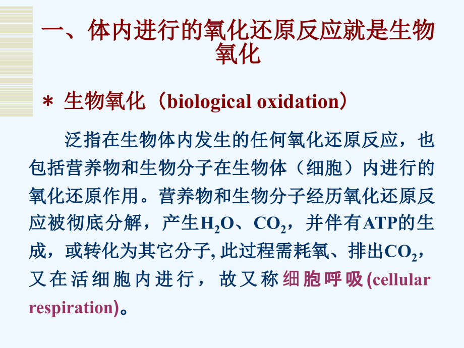 生物化学与分子生物学八年制课件9_第3页