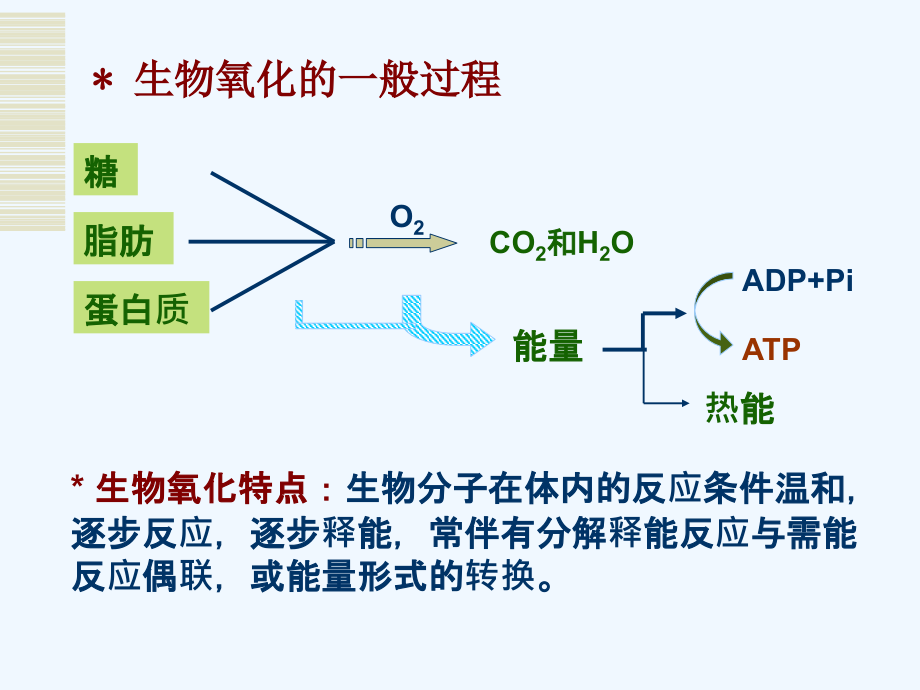 生物化学与分子生物学八年制课件9_第4页