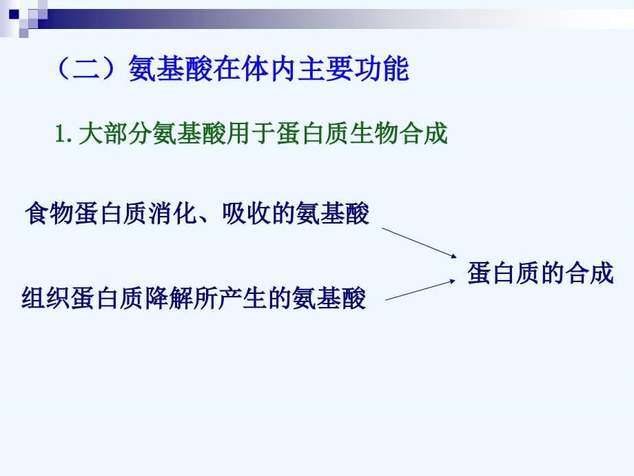 生物化学与分子生物学八年制课件13_第5页