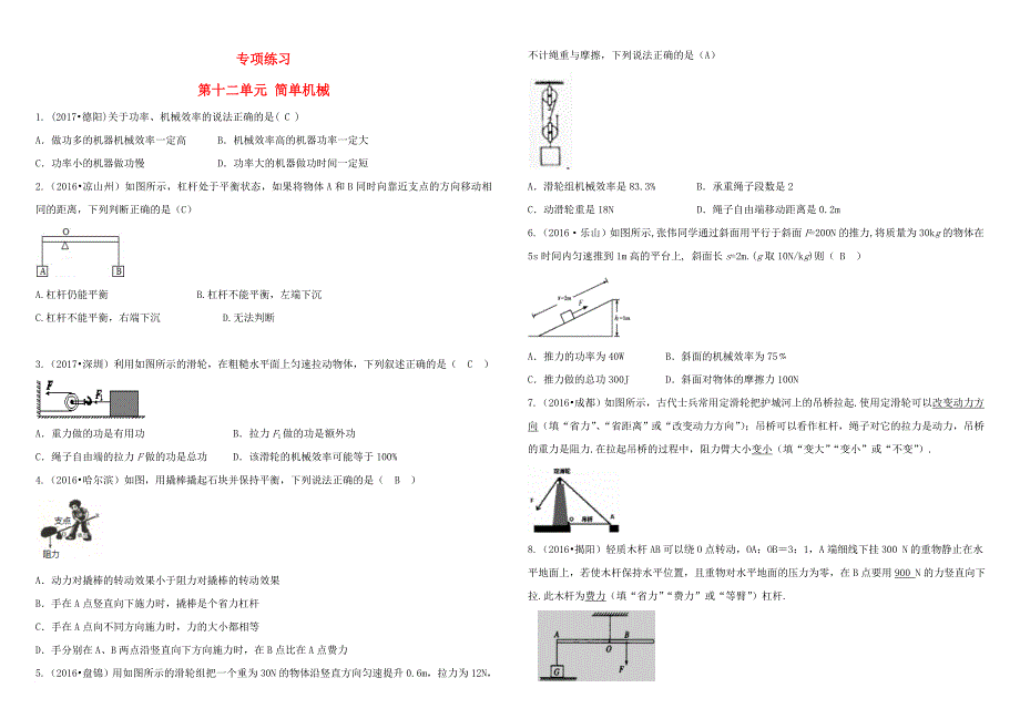 中考物理总复习 专项练习十二 简单机械_第1页