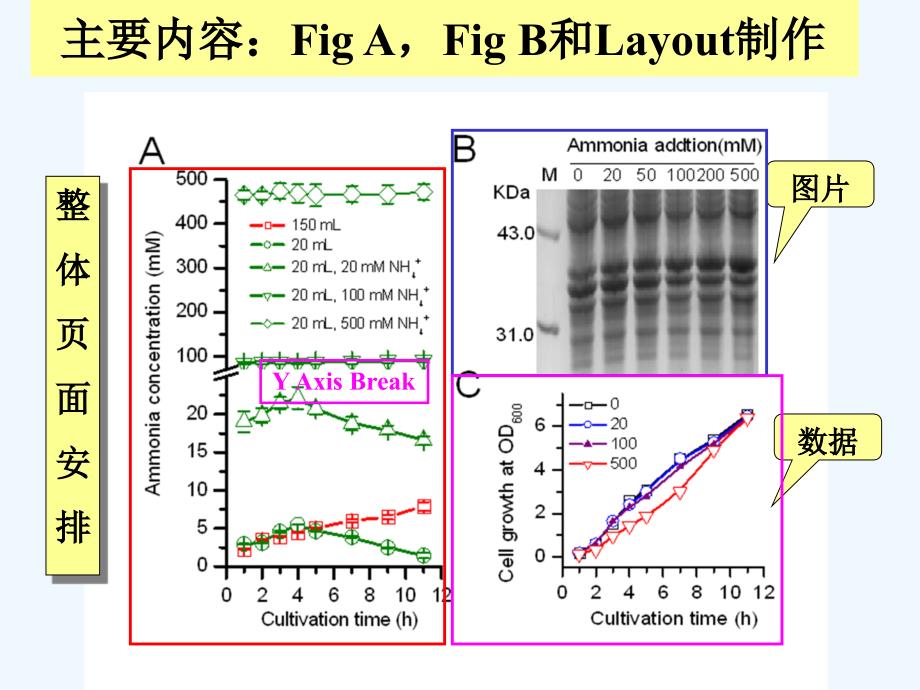 一天内学会origin软件-laosam_第4页