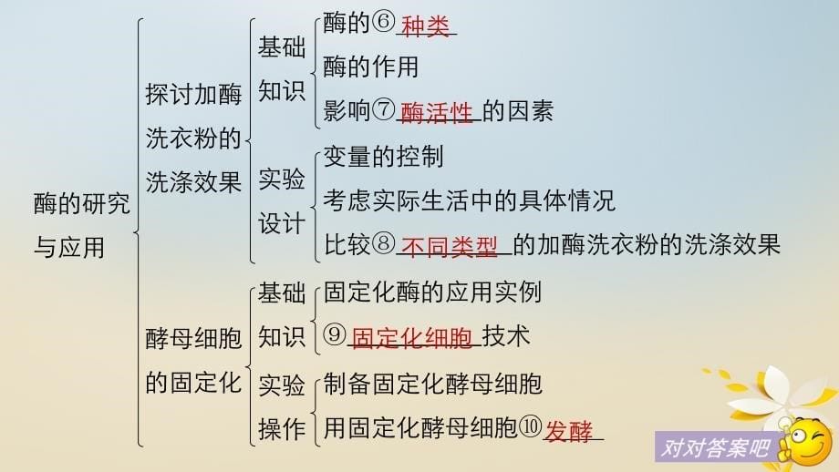 高中生物专题4酶的研究与应用专题整合提升同步备课课件新人教版选修1_第5页