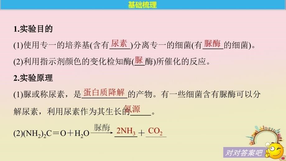 高中生物第一部分微生物的利用第2课时分离以尿素为氮源的微生物同步备课课件浙科版选修1_第5页