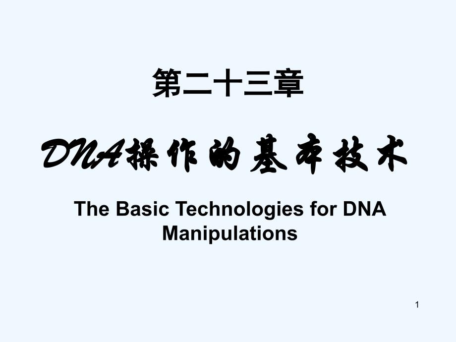 生物化学与分子生物学八年制课件24_第1页