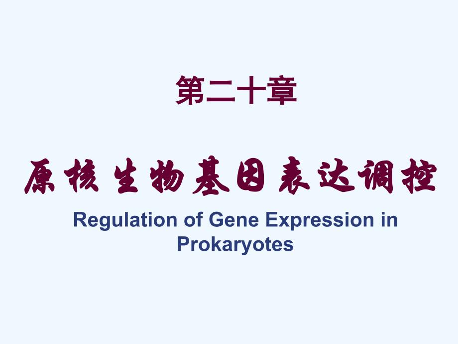 生物化学与分子生物学八年制课件21_第1页