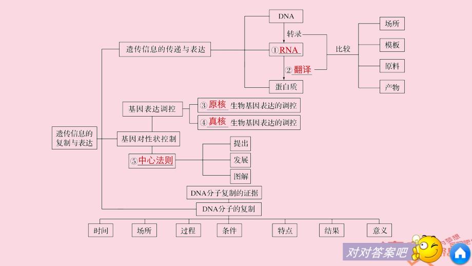 高中生物第3章遗传信息的复制与表达章末整合课件北师大版必修2_第4页