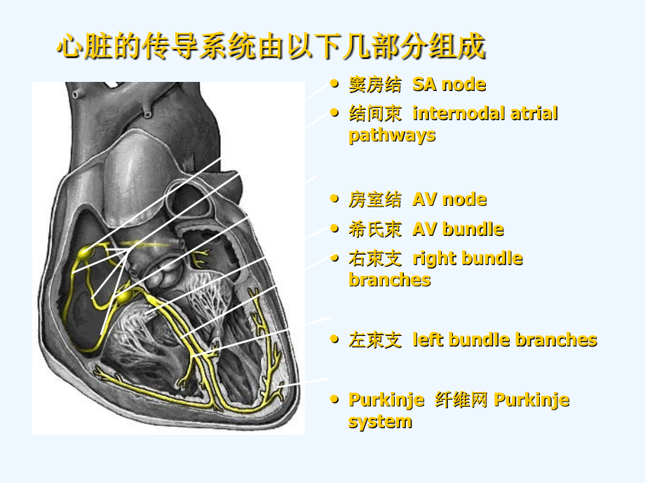 业务学习+心电图_第2页