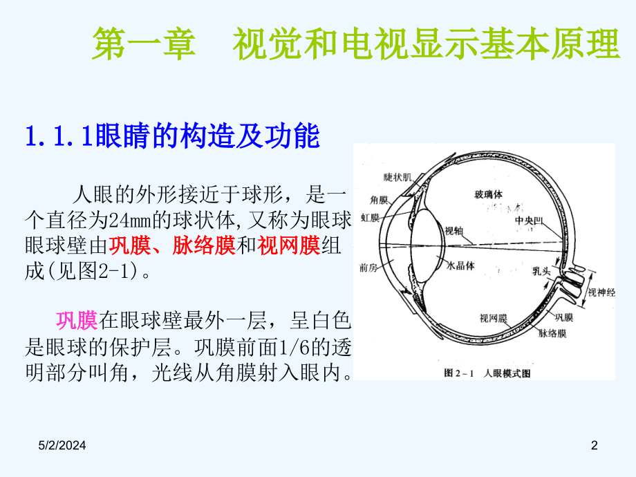 华中科技电子显示技术02_视觉生理学和彩色显示原理_第2页