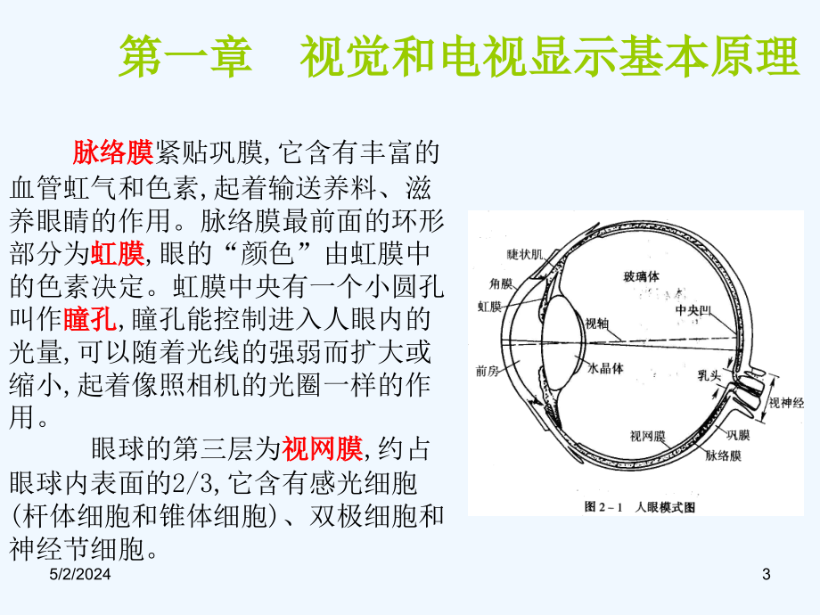 华中科技电子显示技术02_视觉生理学和彩色显示原理_第3页