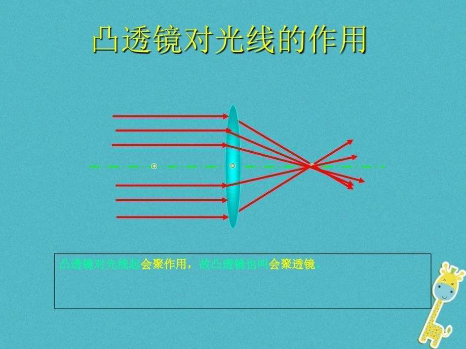 中考物理透镜复习课件_第5页