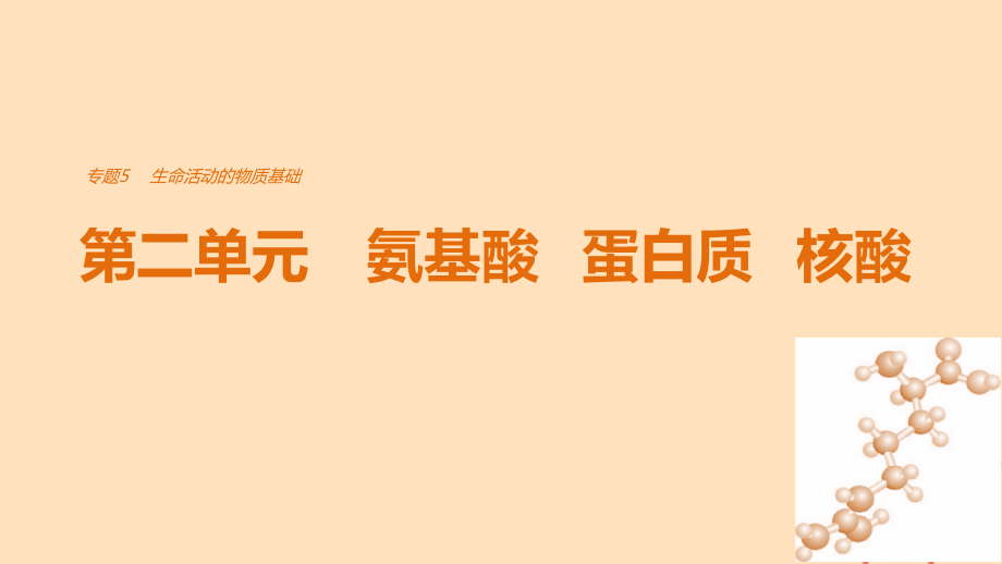 高中化学 专题5 生命活动的物质基础 第二单元 氨基酸 蛋白质 核酸课件 苏教版选修_第1页