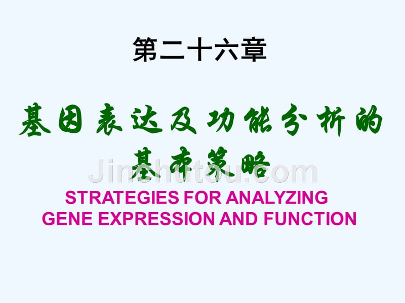 生物化学与分子生物学八年制课件27_第1页