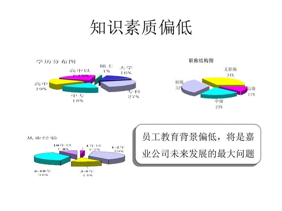 嘉业集团人力资源报告_第5页