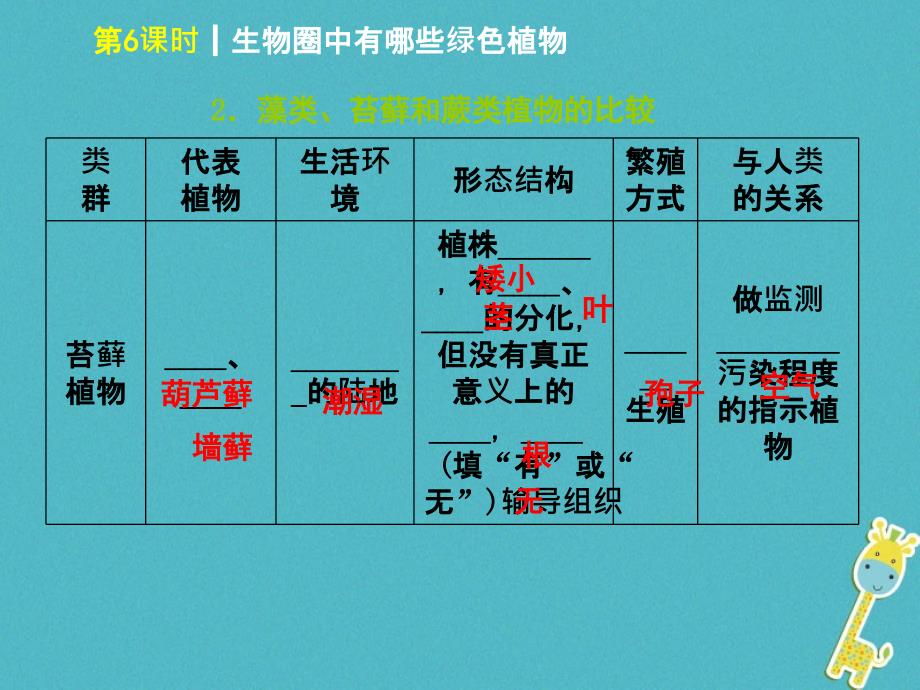 中考生物 第三单元 生物圈中的绿色植物 第6课时 生物圈中有哪些绿色植物课件_第4页