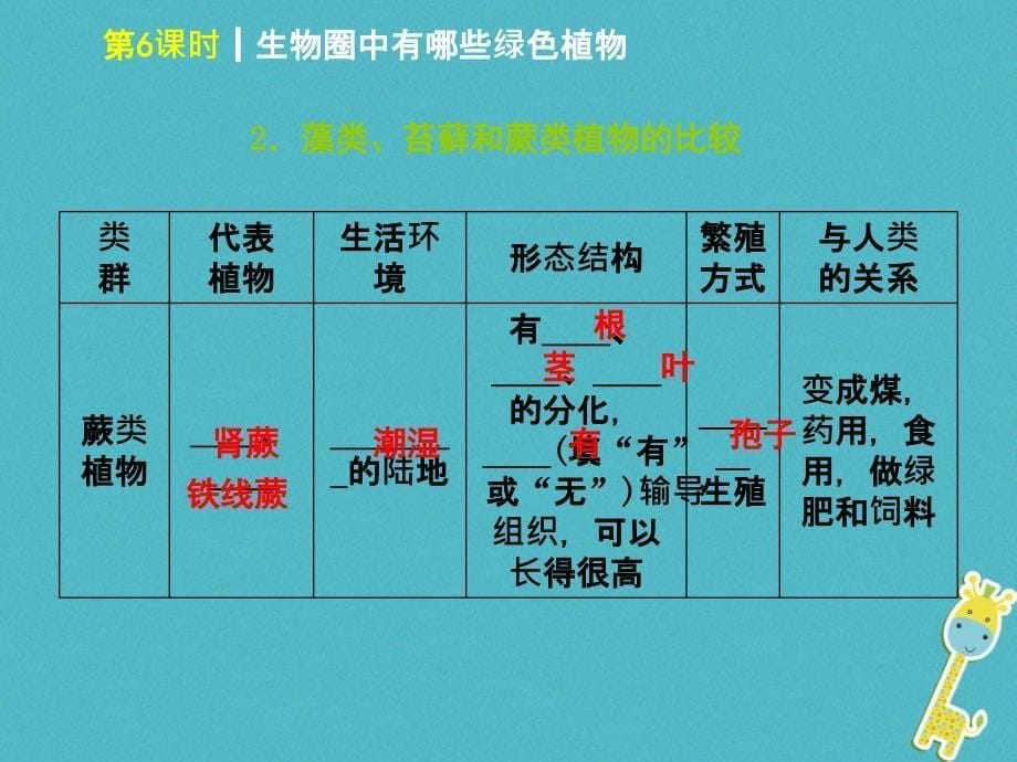 中考生物 第三单元 生物圈中的绿色植物 第6课时 生物圈中有哪些绿色植物课件_第5页