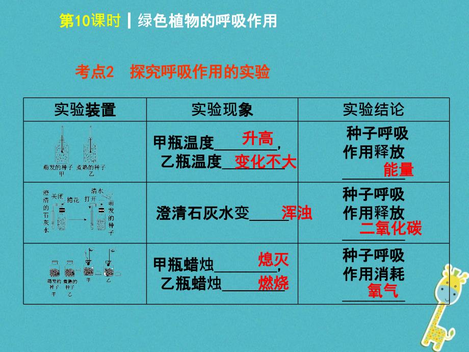 中考生物 第三单元 生物圈中的绿色植物 第10课时 绿色植物的呼吸作用课件_第3页