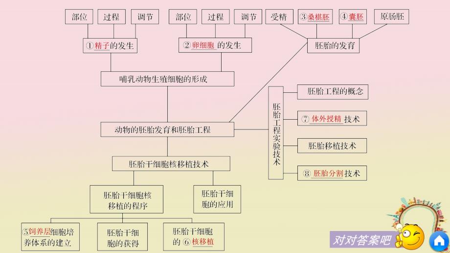 高中生物第2章胚胎工程章末整合提升同步备课课件北师大版选修3_第4页