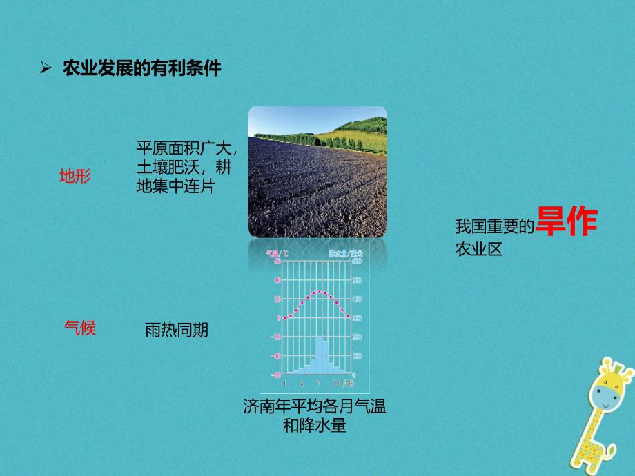 八年级地理下册 6_1 自然特征与农业 北方地区的农业生产课件 （新版）新人教版_第3页