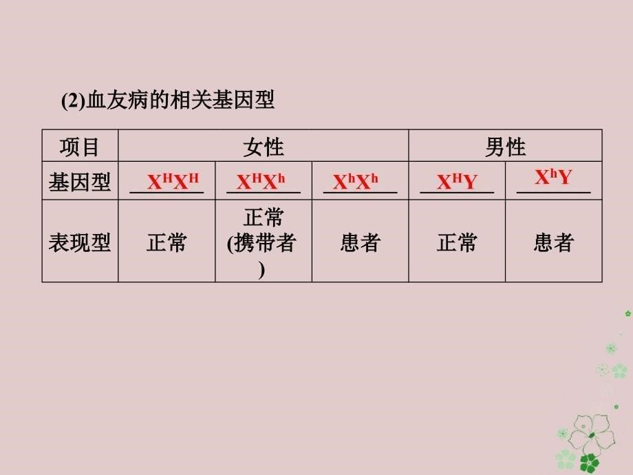 高中生物 第二章 染色体与遗传 第10课时 性染色体与伴性遗传（）同步备课课件 浙科版必修_第5页