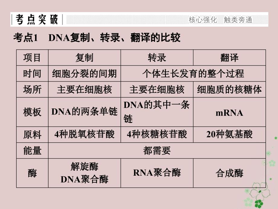 高中生物 第三章 遗传的分子基础章末整合同步备课课件 浙科版必修_第3页