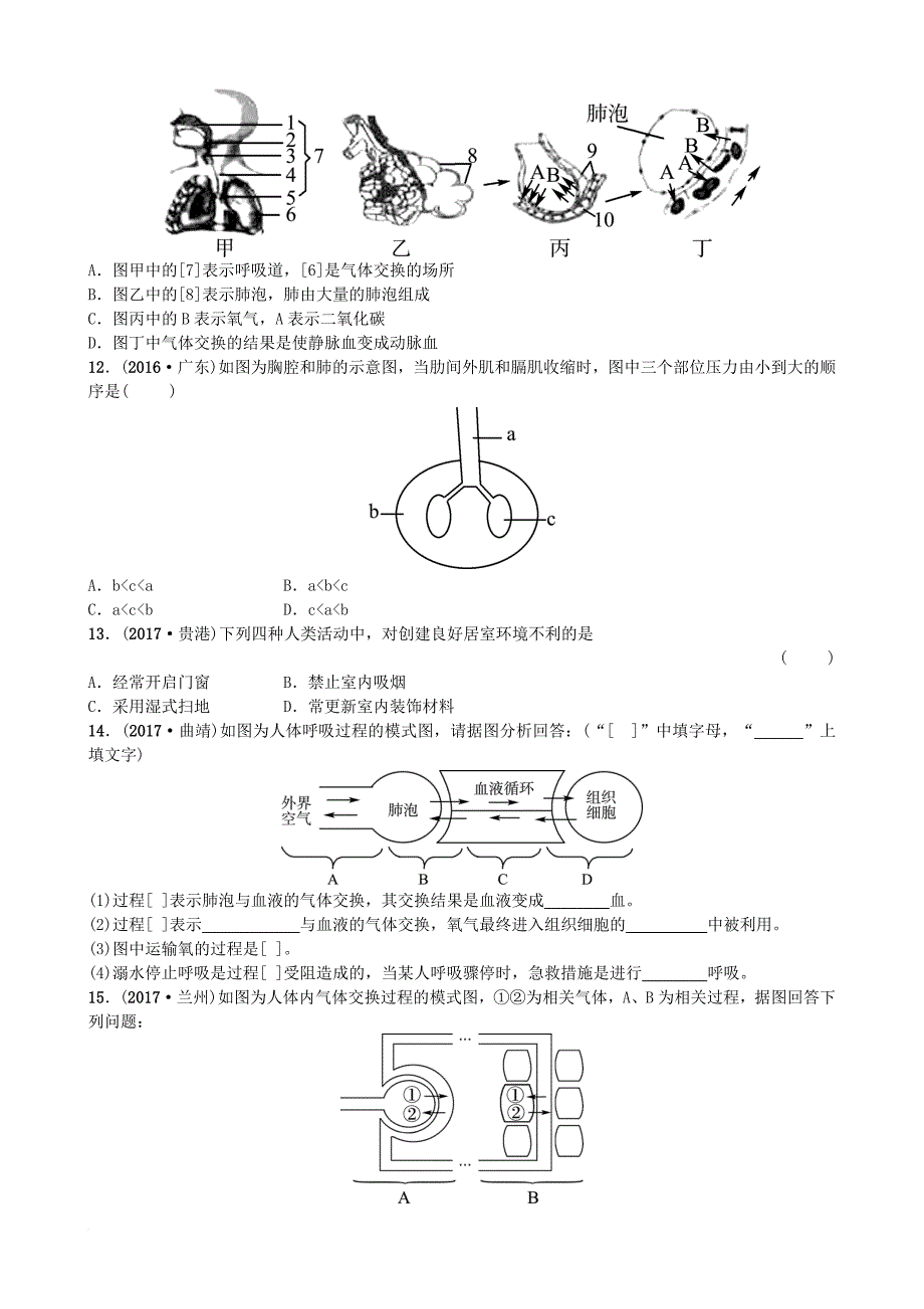 中考生物 第三单元 生物圈中的人 第二章 人的生活需要空气实战演练_第3页