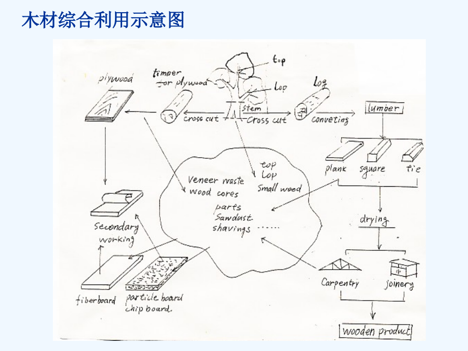 木材学资料_第3页