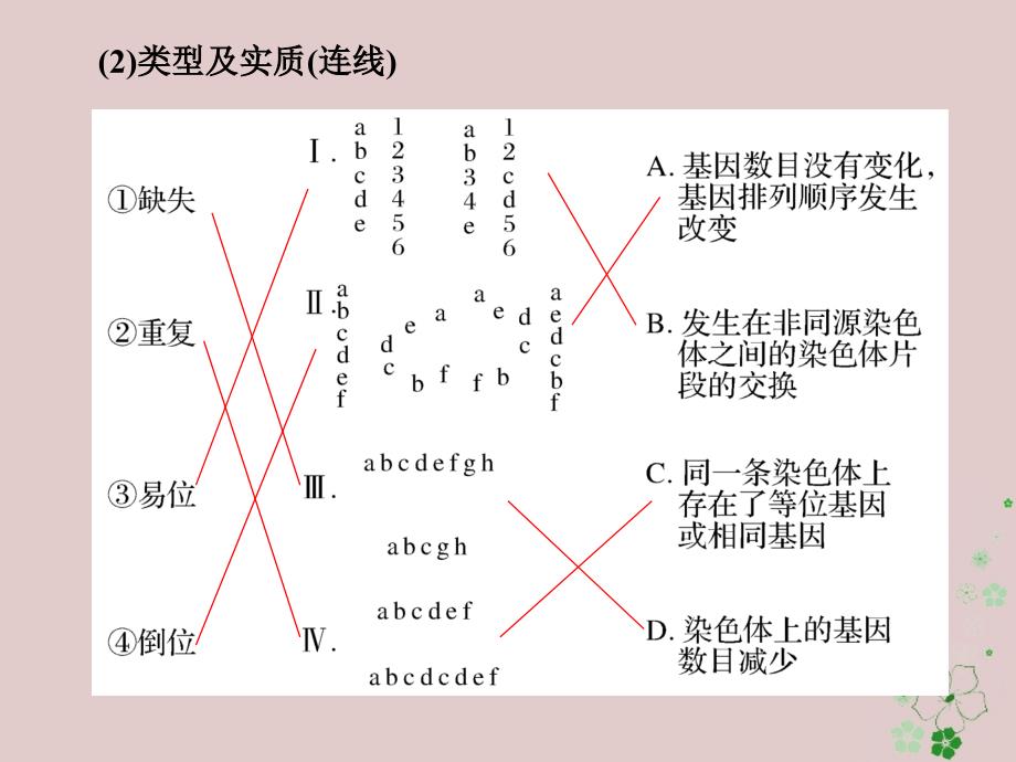 高中生物 第四章 生物的变异 第16课时 生物变异的来源（）同步备课课件 浙科版必修_第4页