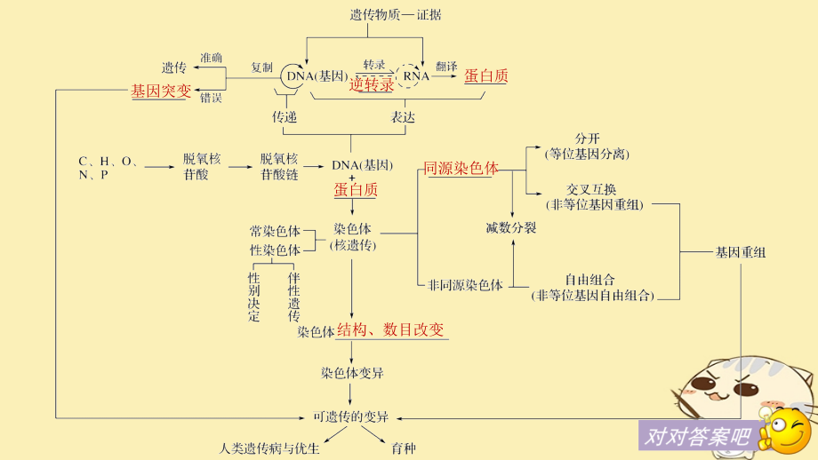 高中生物第四章遗传的分子基础章末整合提升课件苏教版必修2_第4页