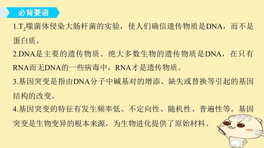 高中生物第四章遗传的分子基础章末整合提升课件苏教版必修2_第5页