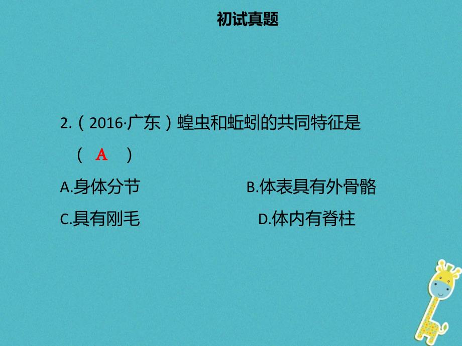 中考生物 模块八 生物的多样性 第三课时 无脊椎动物的主要类别课件_第4页