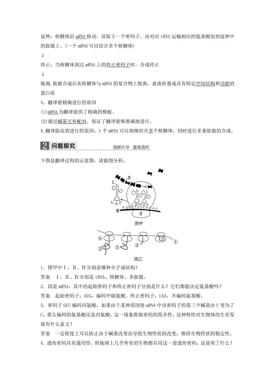 高中生物第四章基因的表达第1节基因指导蛋白质的合成教学案新人教版必修2_第5页