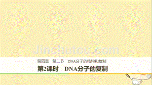 高中生物第四章遗传的分子基础第二节dna的结构和dna的复制第2课时课件苏教版必修2