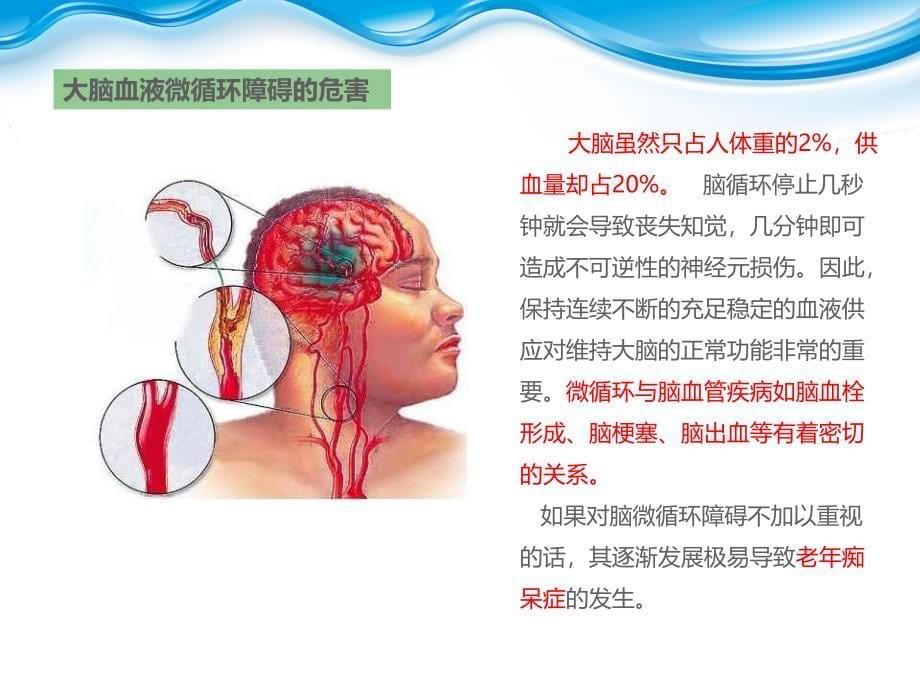 地龙蛋白_第5页