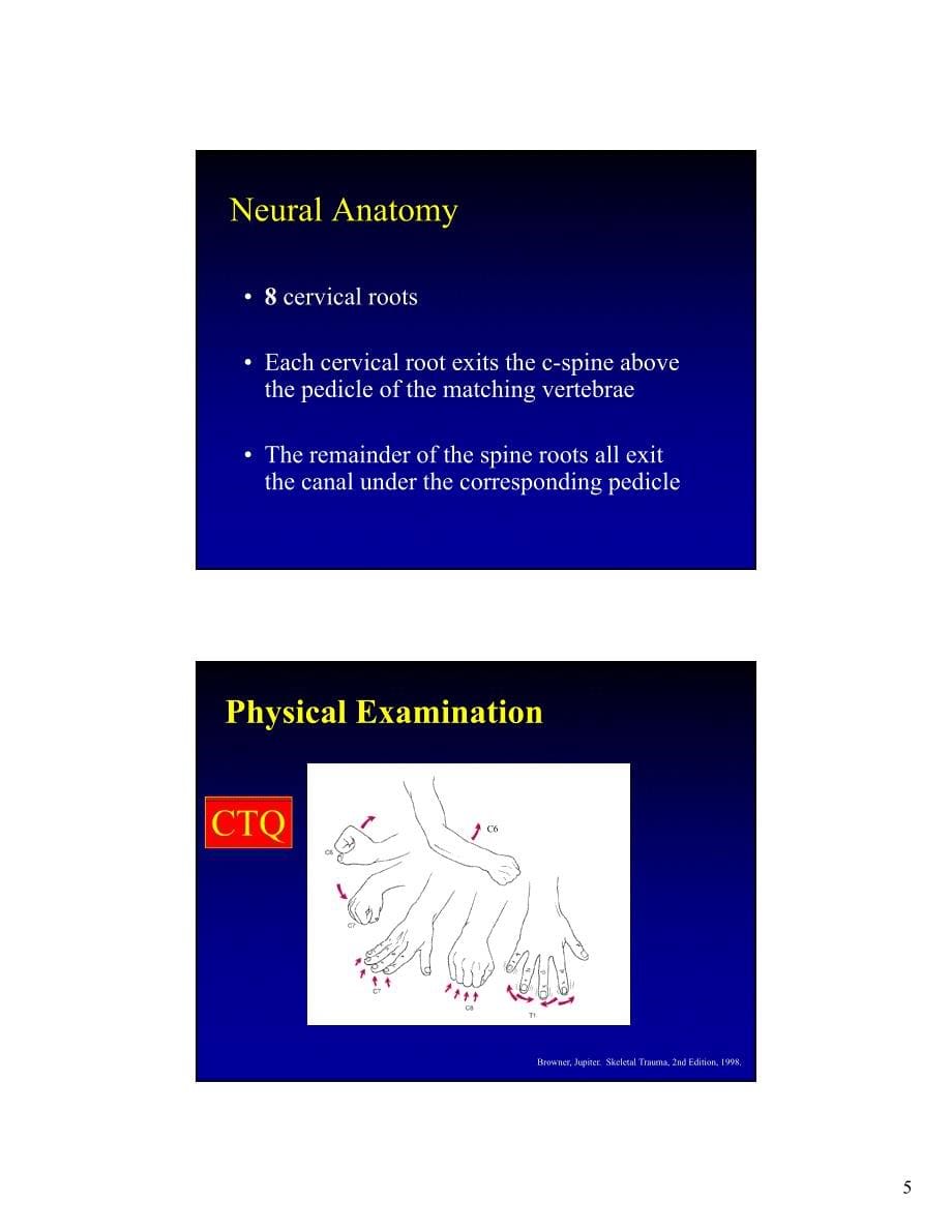 cervicalspinetrauma颈椎创伤幻灯_第5页