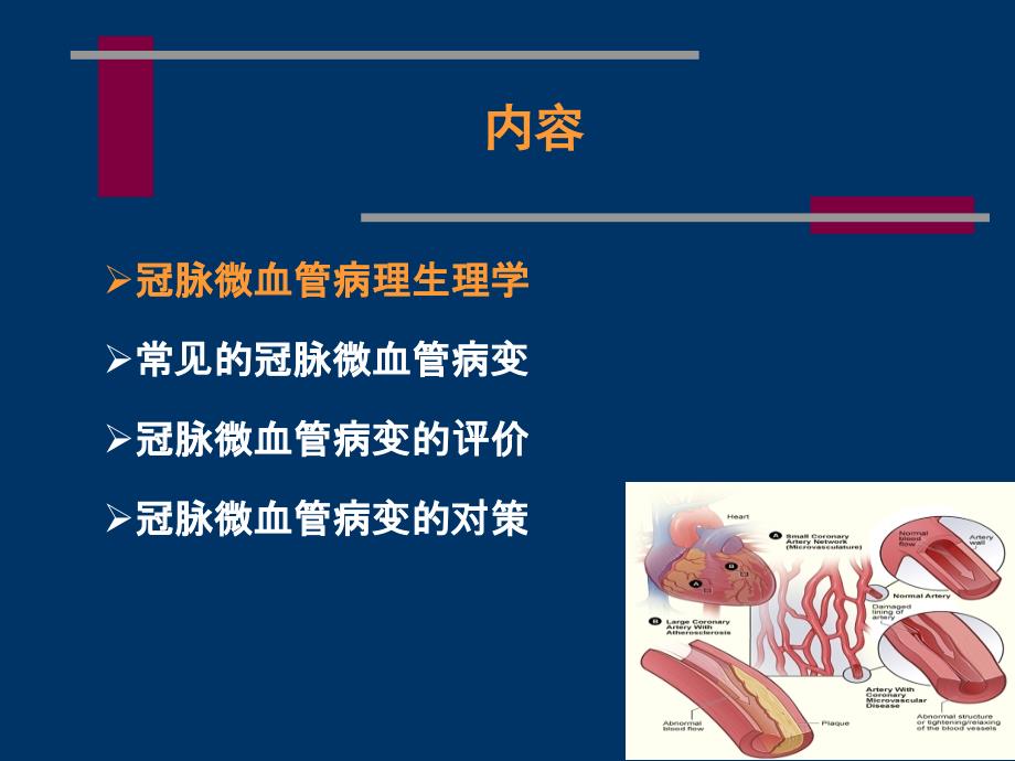 冠状动脉微血管病变与对策_第2页